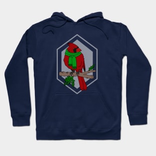 Chilly Cardinal Hoodie